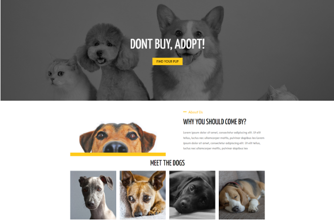 A screenshot of a dog adoption webpage design.