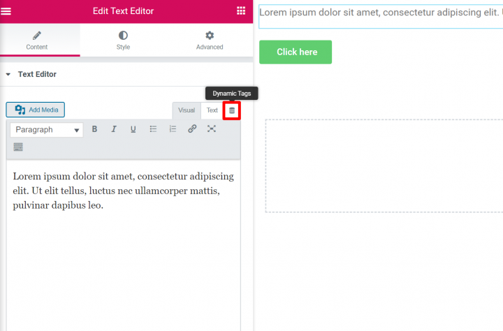 dynamic tags in text editor widget dynamic tags in text editor widget