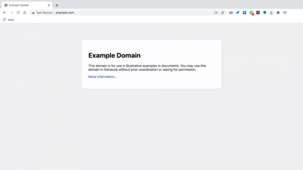 example-domain-extension example-domain-extension