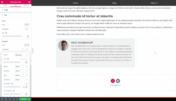 a screenshot of placing the author box widget a screenshot of placing the author box widget