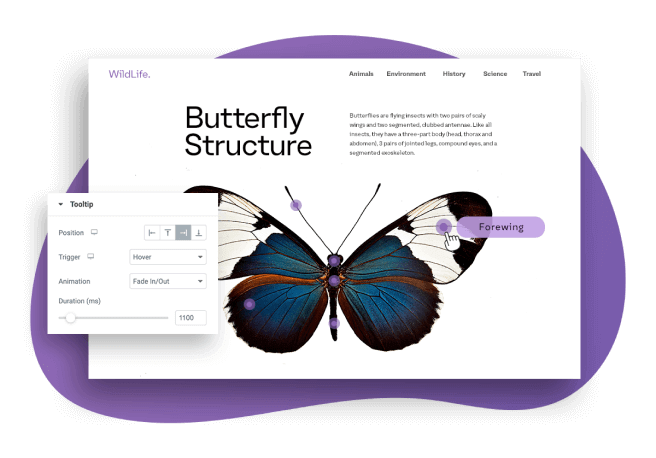 Simplify Complex Products & Features